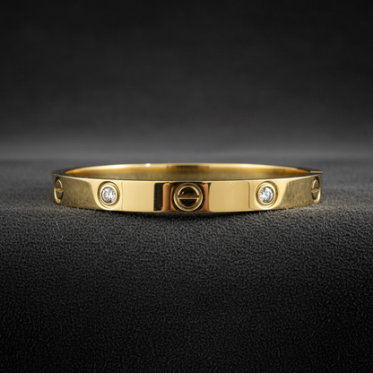 Luxury Screw Design CZ Bracelet for Women